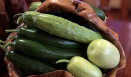 文县网红吃瓜,一场视觉与味蕾的盛宴