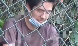 刘昊然狗仔爆料视频,揭秘娱乐圈真实一面